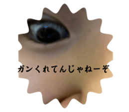 651333681