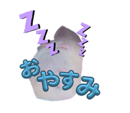 651342892
