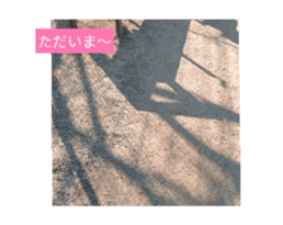 651344464