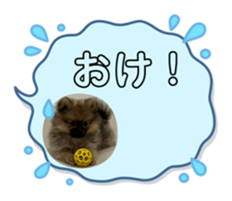 651350578