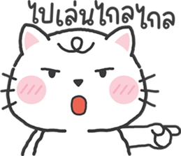 651353021