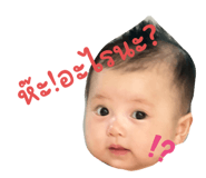 651376518