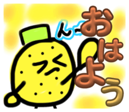 651382534