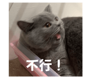 651433075