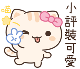 651455564