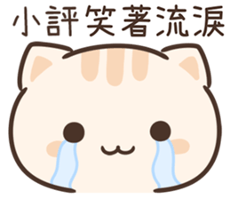 651455567