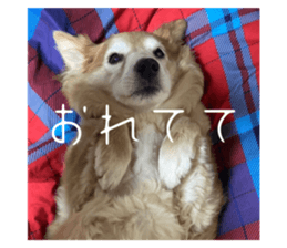 651458572