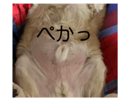 651458583