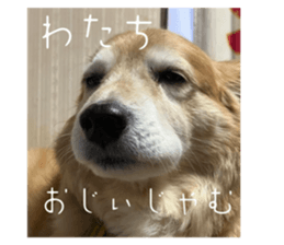 651458588