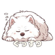 651460901