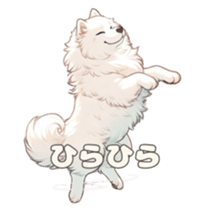 651460925
