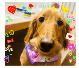 651518710
