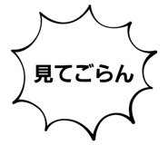651549811