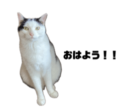 651555396