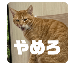 651688880