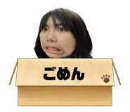 651689305