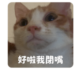 651743342