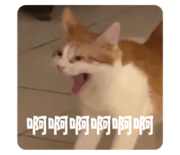 651743381
