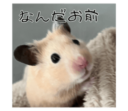 651780398