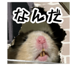 651780401