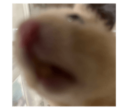 651780403