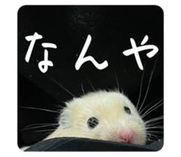 651780406