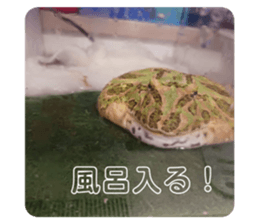 651787332
