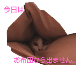 651831189