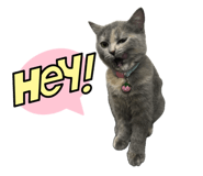 651836560