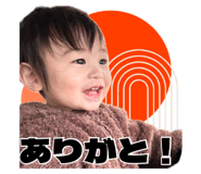 651906628