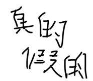 651916079