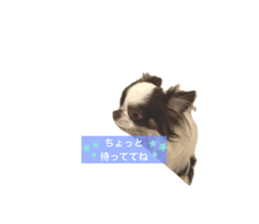 651928200