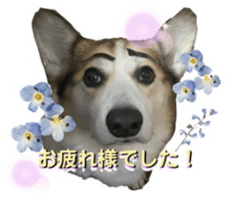 651946572