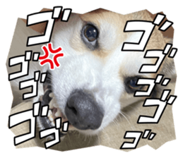 651946583
