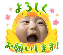 652017744