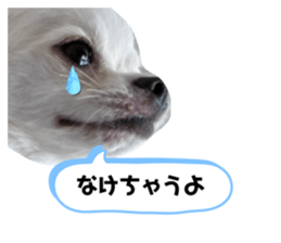652022037