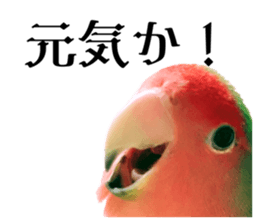 652024027