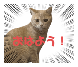 652028580
