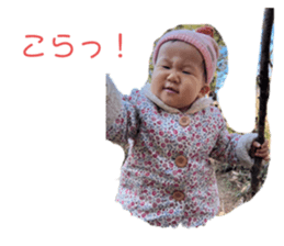 652042605