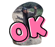 652081810