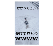 652081824