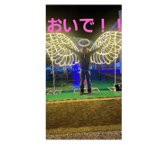 652081828