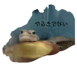 652085680