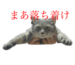 652088431