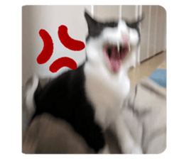 652090930