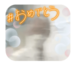 652176686