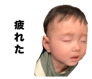 652177796