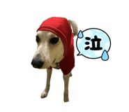 652189170