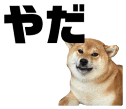 652277787
