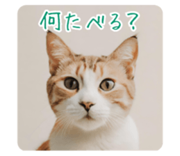 652280865